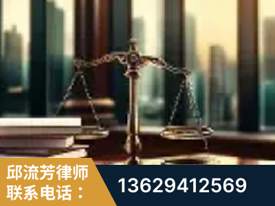 登封-重大刑事案件处理